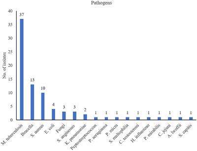 Diagnostic efficiency of metagenomic next-generation sequencing for suspected spinal tuberculosis in China: A multicenter prospective study